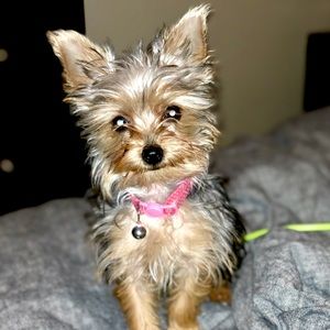 Meet your Posher, Barbara